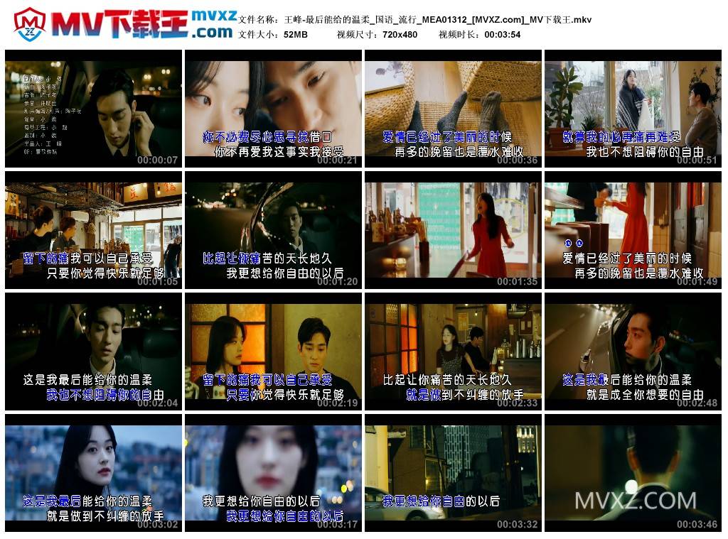 王峰-最后能给的温柔_国语_流行_MEA01312